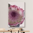 thumbnail image 3 of wall26 Canvas Print Wall Art Pink Tropical Southwest Desert Flower Lotus Nature Wilderness Photography Realism Floral Botanical Multicolor for Living Room, Bedroom, Office - 32"x48", 3 of 5