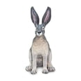 thumbnail image 2 of Safari Ltd. American Desert Hare Figurine - Lifelike 3" Model Figure - Educational Toy for Boys, Girls, and Kids Ages 3+, 2 of 7