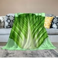 thumbnail image 2 of COMIO  Blanket Throw Blanket Gifts for Housewarming Funny Nap Blanket Cabbage Blanket Cute Baby Quilt Air Conditioning Blanket Office Single Burritoes Blanket, 2 of 6