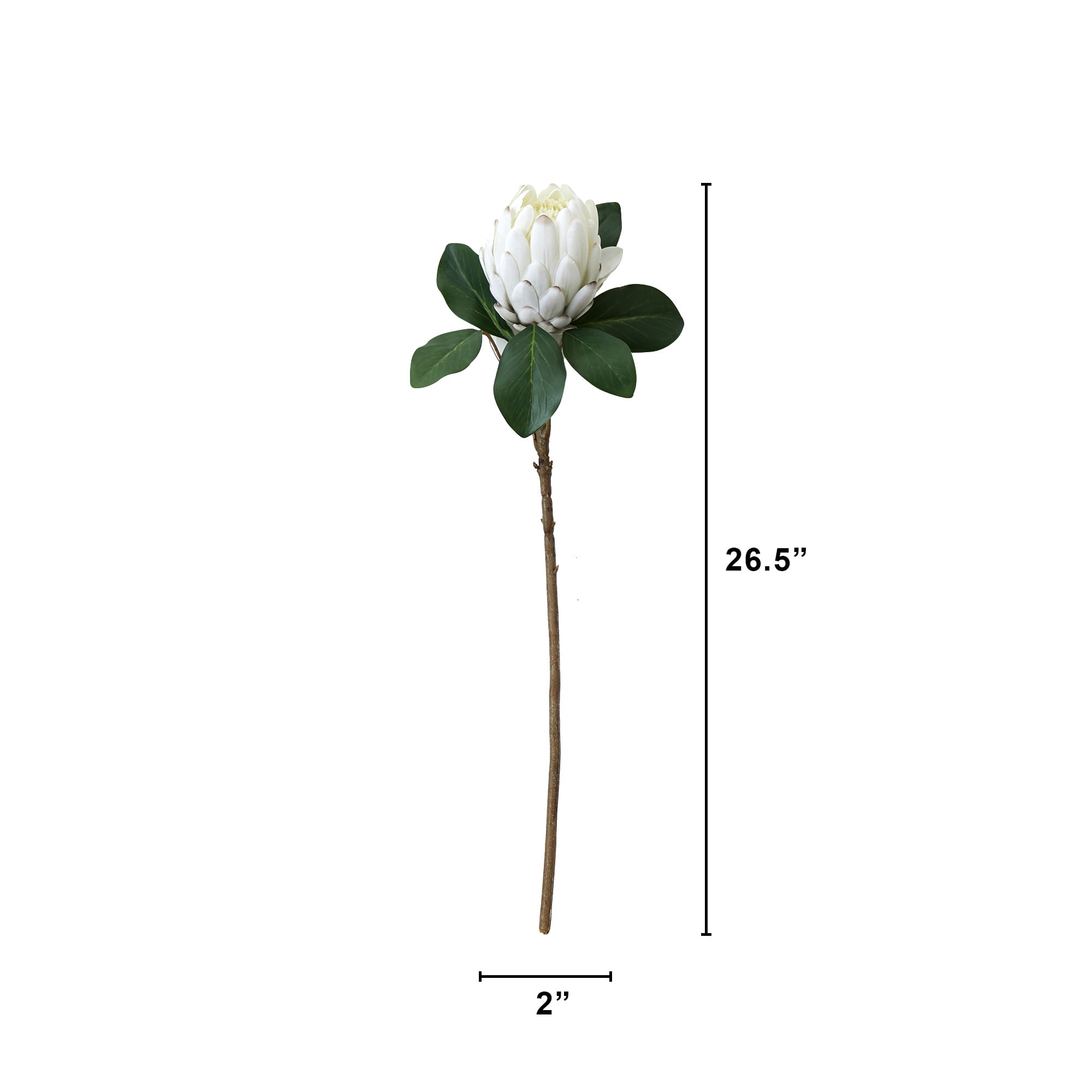 Mainstays 26.5"L Artificial Indoor Silk Protea Stem
