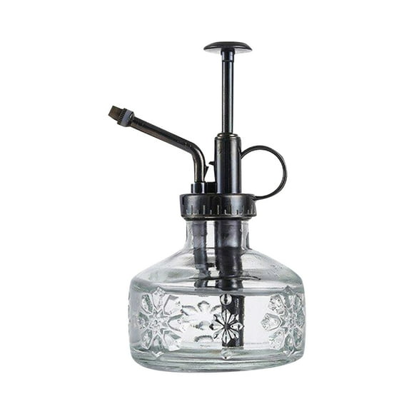 Toimothcn Mini Embossed Pockmarked Glass Watering Can Gardening Home Watering Sprayer For Indoor Flower Plants