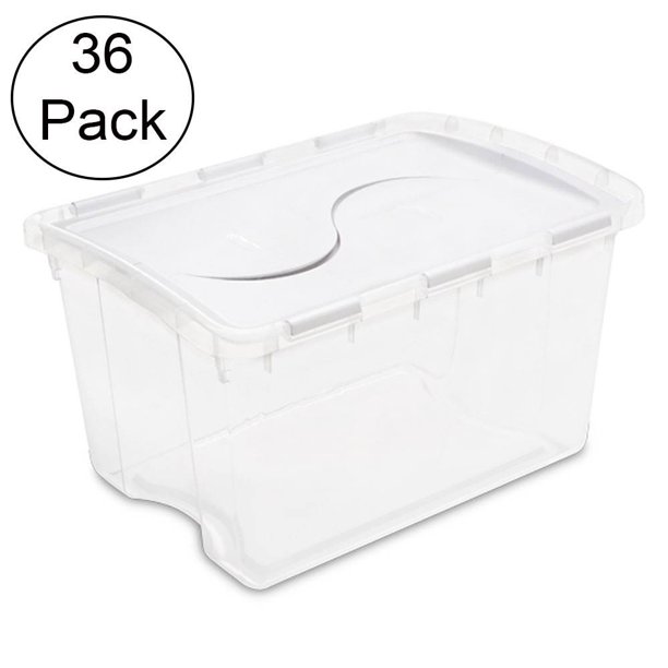 clear tote with hinged lid