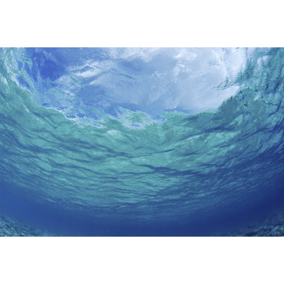 Underwater Ocean Looking Upward To Surface Blue Sky Reflection Canvas Art - Don King  Design Pics (19 x 12)