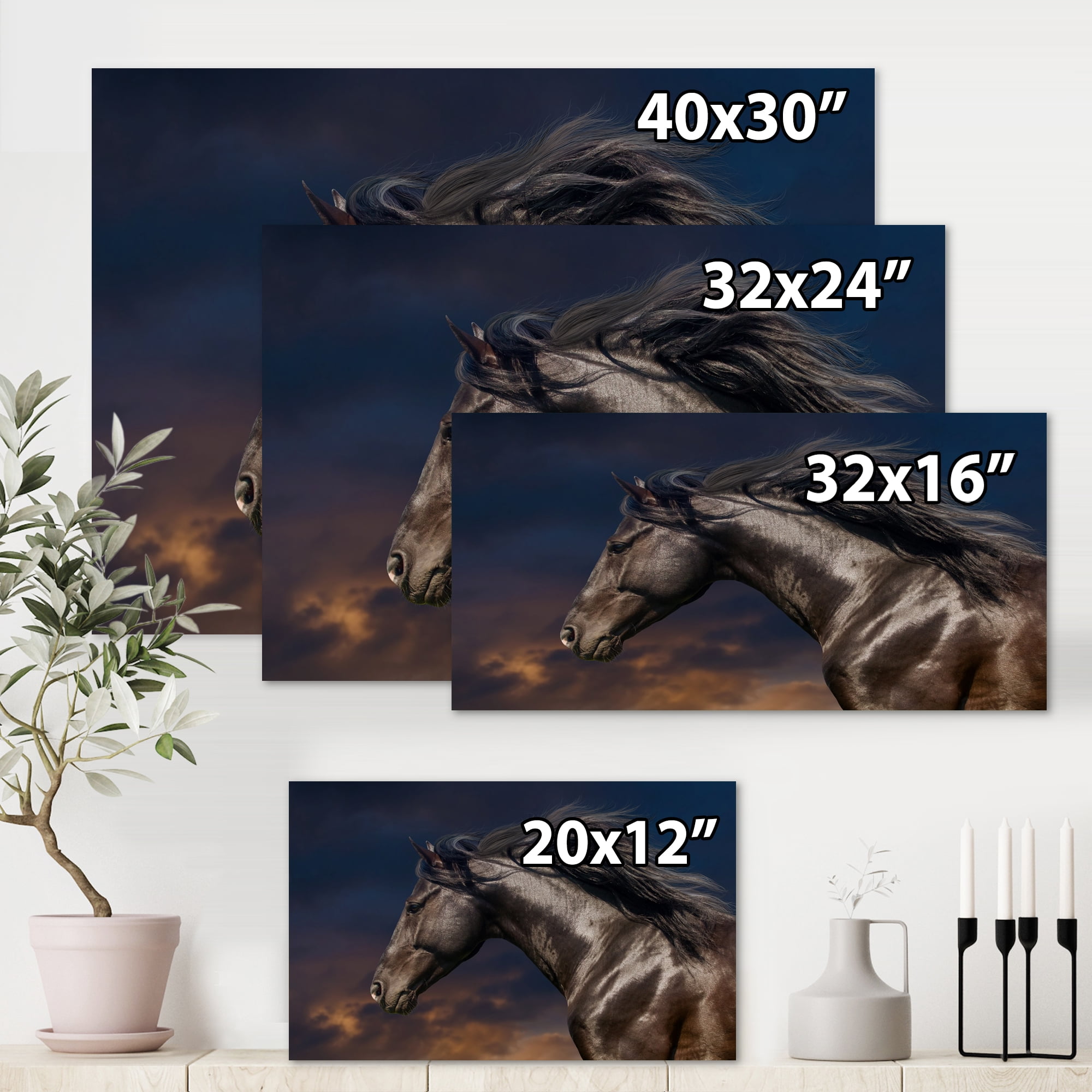Close Up Of Thoroughbred Nonius Stallion Horse III 8 in x 12 in Photography Canvas Art Print, by Designart