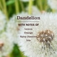 thumbnail image 2 of Kit de difusor de aceite aromático Mrs. MEYER'S CLEAN DAY Dandelion, 2 of 9