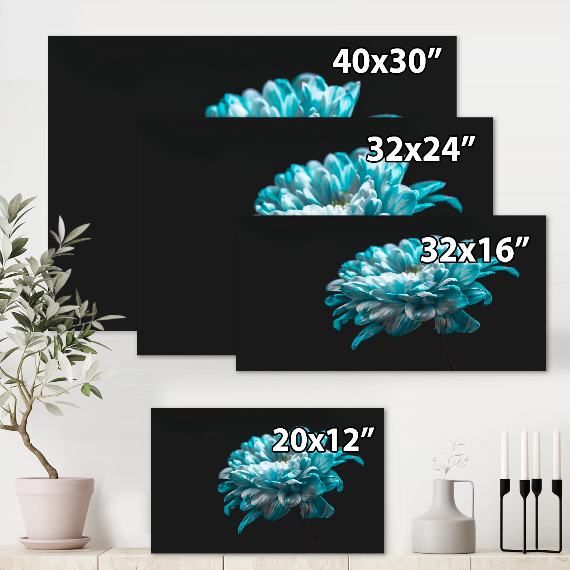 Designart ' Close Up Of White and Pure Blue Daisy Flower II ' Traditional Canvas Wall Art Print