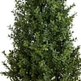thumbnail image 3 of Nearly Natural 4ft. UV Resistant Artificial Boxwood Topiary Tree (Indoor/Outdoor), 3 of 5
