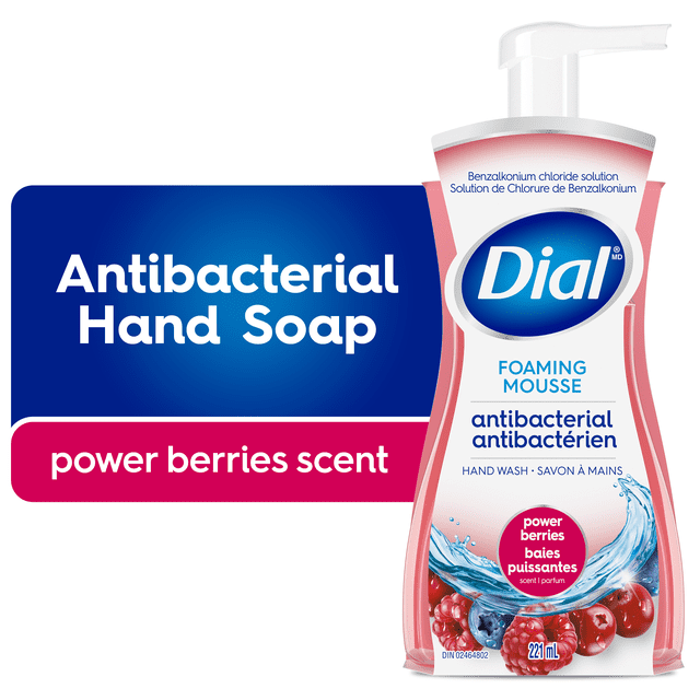 Dial Antibacterial Foaming Hand Wash, Power Berries, 221ml