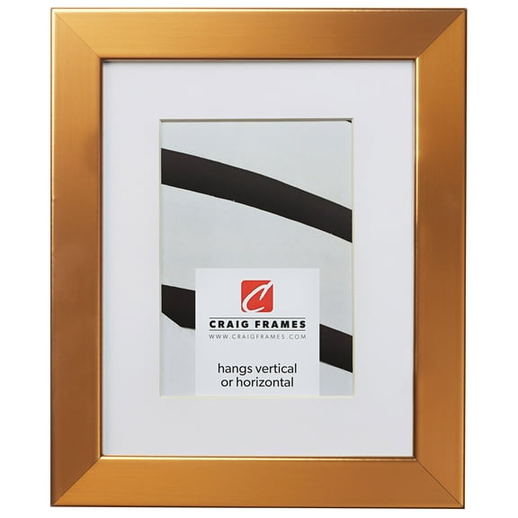 Craig Frames Bauhaus 125, 24x36 inch Stainless Brass Picture Frame Matted for a 20x30 Photo