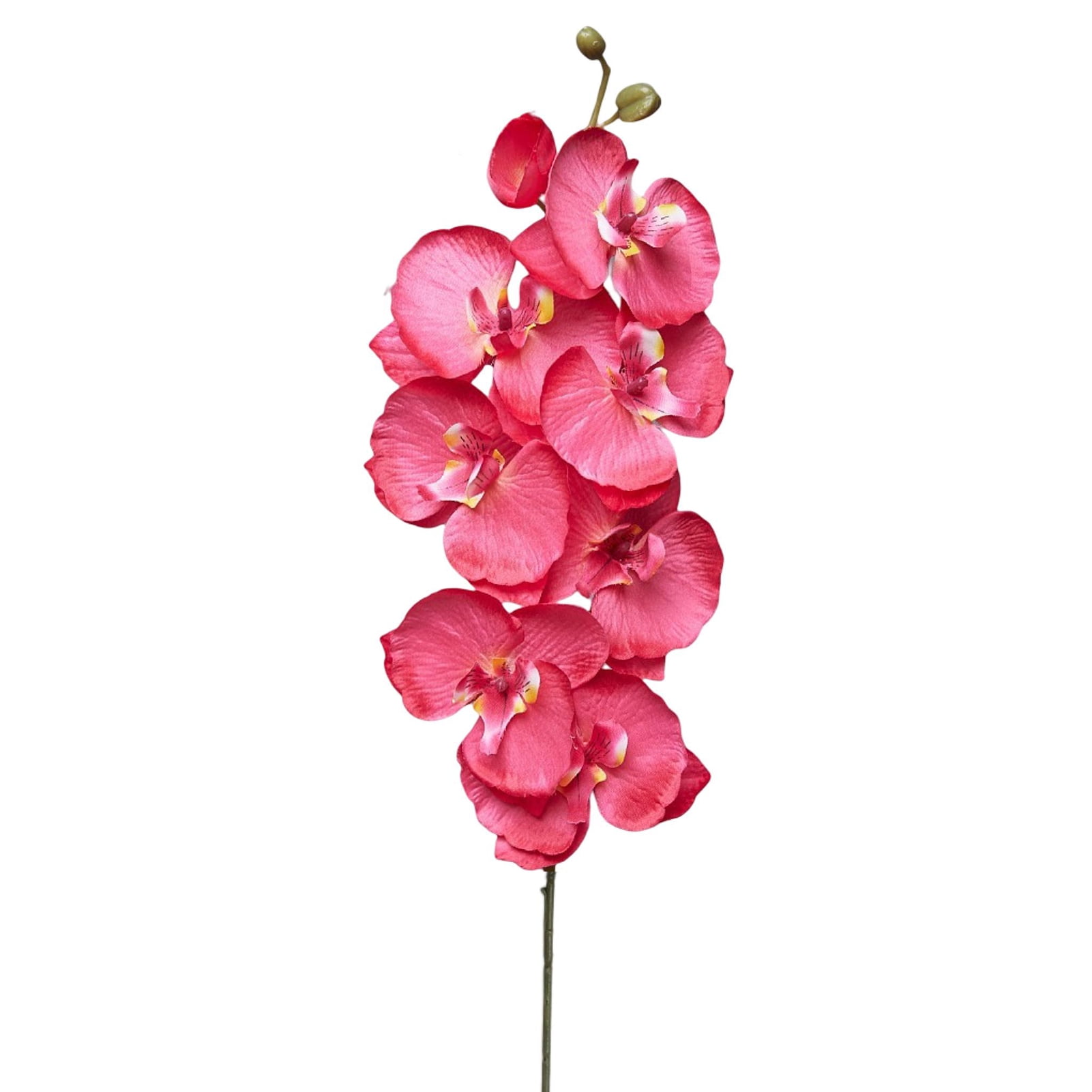 8 Heads Artificial Phalaenopsis Flowers Artificial Orchid Flowers Stem