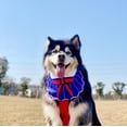 thumbnail image 5 of Dog Bandana Exquisite Printing Waterproof Cute Comfortable Dog Drool Bib Adjustable Bib Handkerchief Accessories for Small, Medium, Large and Extra-Large Dogs, 5 of 7