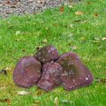thumbnail image 6 of CarpNettore 5 Pcs Artificial Fake Rocks Decorative for Potted Plants Indoor Outdoor DIY Lawn A, 6 of 9