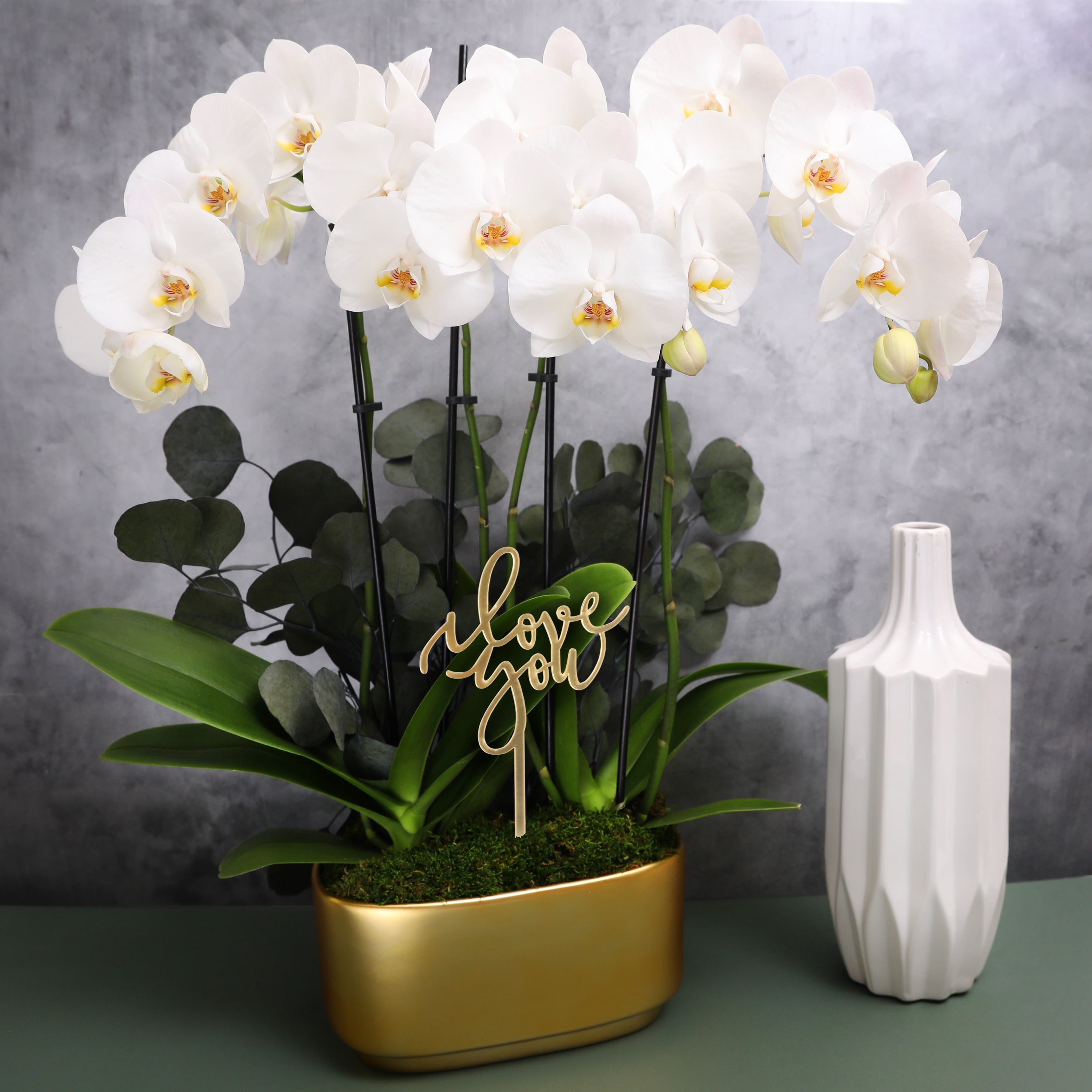 White & Yellow Orchid Duo in Luxurious #10 Gold Jan Ceramic with Preserved Eucalyptus & ‘I Love You’ Pick