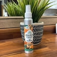 thumbnail image 3 of Absolute Green Air Freshener Room Spray, Ginger Spice, Non-Toxic, Safe Around Food, Kids, + Pets, Covers Odors ( 2 Count) 4 oz., 3 of 6