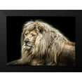 thumbnail image 2 of Ronin 18x14 Black Modern Framed Museum Art Print Titled - The white Lion, 2 of 5