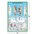 thumbnail image 2 of The Human Body - Anatomy Poster (Body & Descriptions & Grid) (Size: 24" X 36"), 2 of 6
