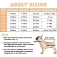 thumbnail image 3 of Pet Dogs Recovery Suit Post Surgery Shirt For Puppy, 3 of 5
