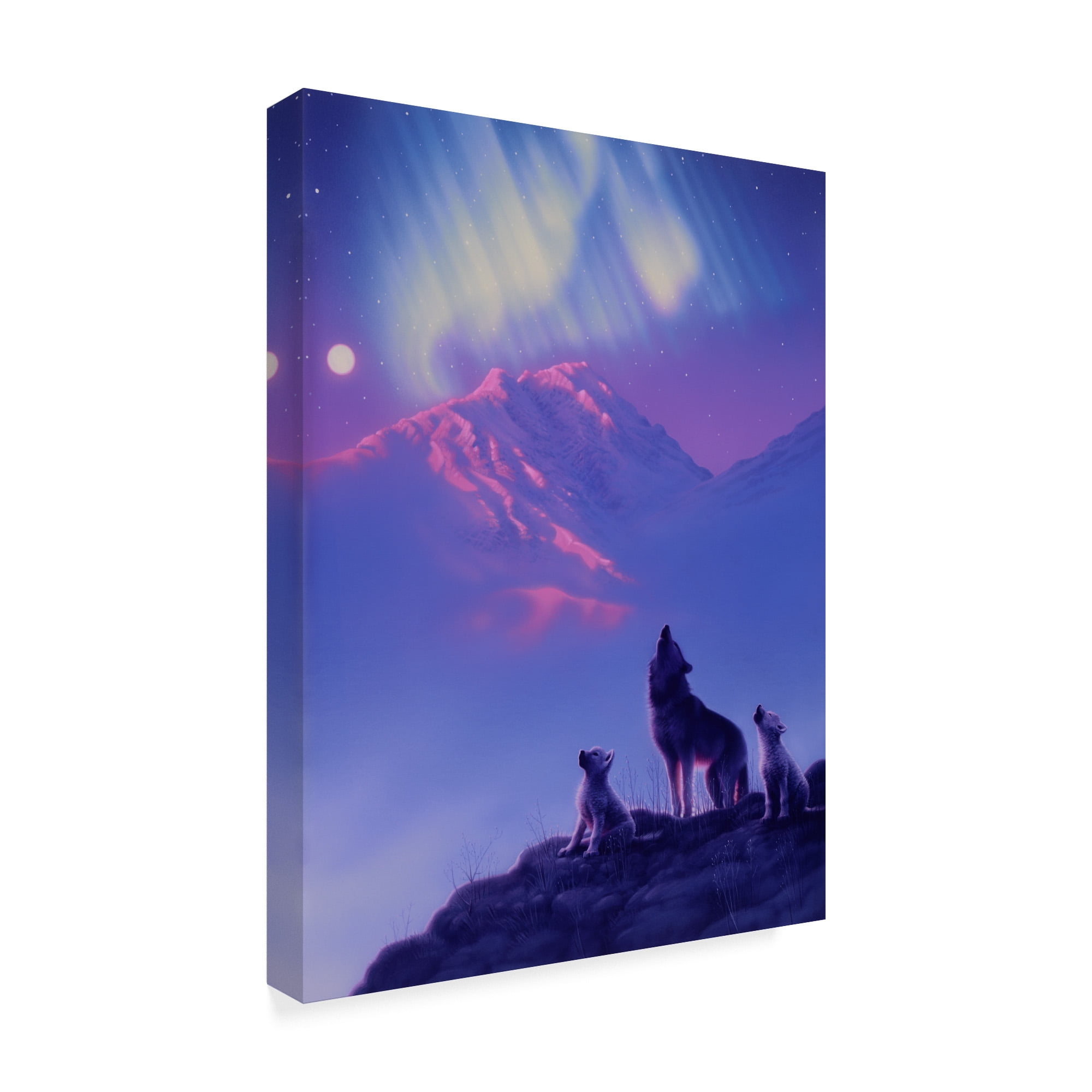 Trademark Fine Art 'Moon Song' Canvas Art by Kirk Reinert