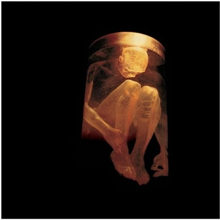 Nothing Safe: Best of the Box (Best Of Alice In Chains)