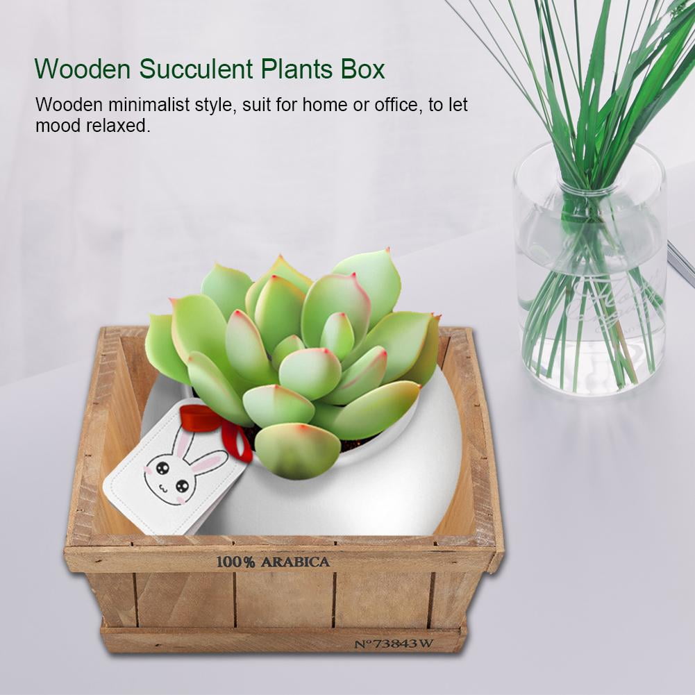 Fyydes Wooden Succulent Plants Square Box Garden Planter