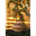 thumbnail image 3 of Crane, Rita 18x24 Black Modern Framed Museum Art Print Titled - Riviera Garden Detail II, 3 of 5