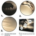 thumbnail image 3 of Designart "Cattle delicate Grazing I" Animals Floater Framed Canvas Print, 3 of 7