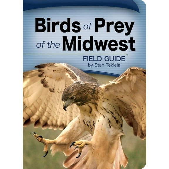 Bird Identification Guides Birds of Prey of the Midwest, (Paperback)