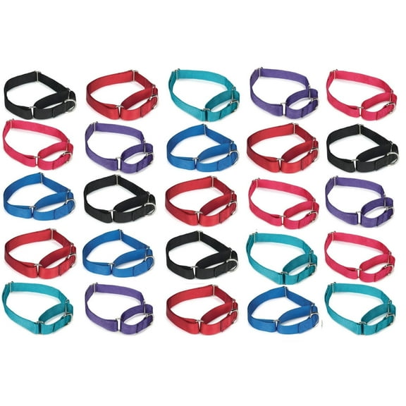 25 Martingale Dog Collar Bulk Packs Shelter Rescue Vet Assorted Colors Pick Size (Large - 18 to 26 inch)