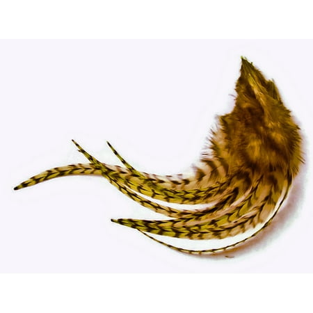 1 Dozen - Medium Olive Grizzly Rooster Feathers