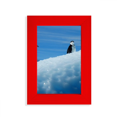 thumbnail image 1 of Two Antarctic Penguins Science Nature Picture Picture Display Art Red Photo Frame, 1 of 4
