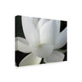 thumbnail image 2 of Trademark Fine Art 'Delicate Lotus V' Canvas Art by Jim Christensen, 2 of 4