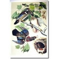 thumbnail image 1 of Ceramic Tile Mural-John Audubon Birds Painting 45. 32" w x 48" h using (24) 8 x 8 ceramic tiles, 1 of 3