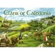 Karma Games KMA200 Clans de Caledonia – image 1 sur 7