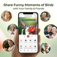 thumbnail image 5 of TT Nature Glass Hummingbird Feeder with Camera, 2K QHD Hummingbird Feeder Camera with Ant Moat, Solar Powered Bird Camera, AI Identify Bird Species, Water Level & Quality Monitor, Ideal Gift, 5 of 10