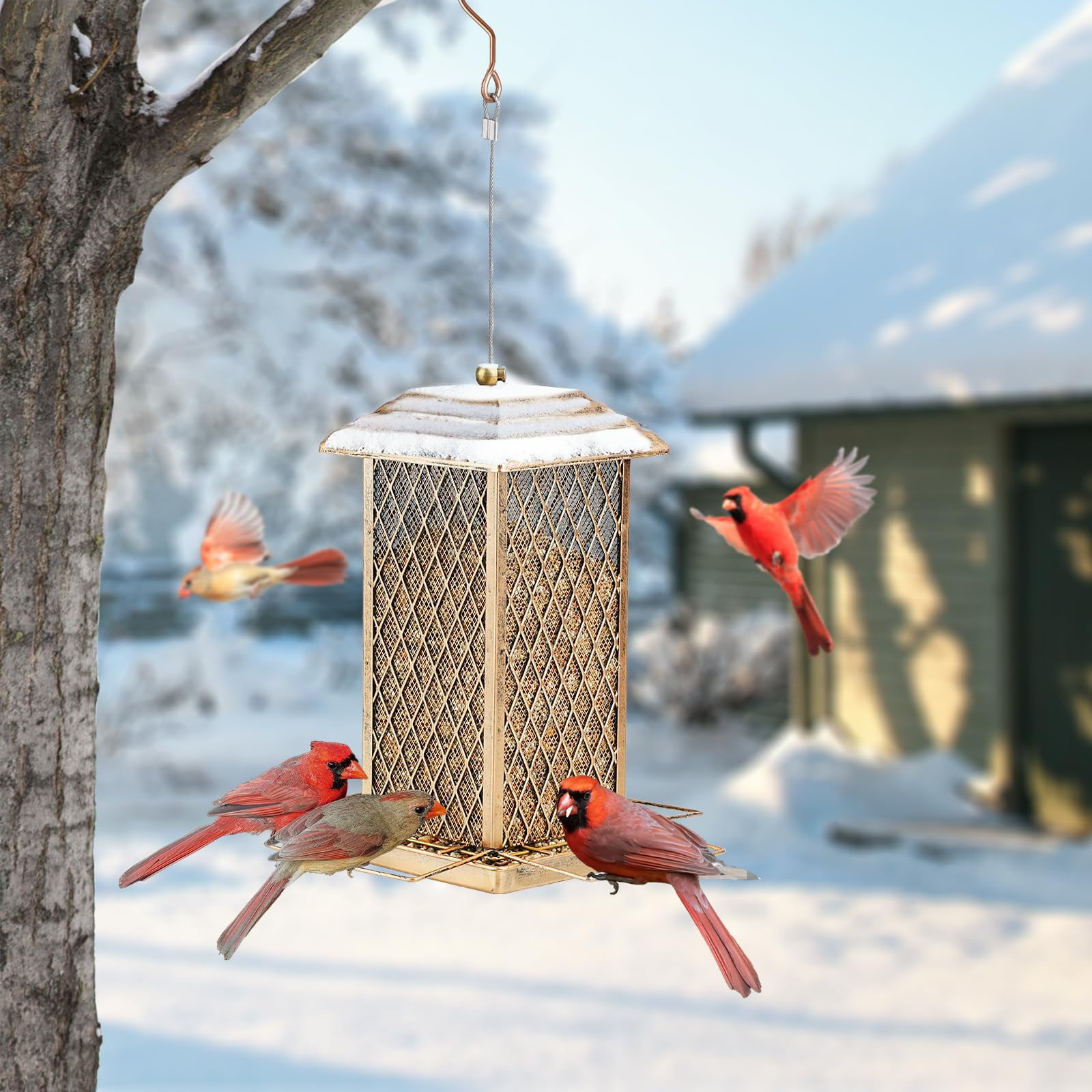 IWNTWY Metal Wild Bird Feeder for Outdoor Hanging, Heavy Duty Birdfeeder 3 lbs Capacity for Garden Yard Decoration