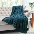 thumbnail image 2 of Home Soft Things Super Soft Decorative Throw Blanket - Dragonfly - 50" x 60", 2 of 9