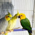 thumbnail image 2 of Soporte para percha para pájaros, palo de molienda para patas, percha para loros, soporte para jaula de pájaros con superficie rugosa, 2 of 5