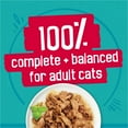 thumbnail image 5 of Purina Friskies Wet Cat Food Variety Pack, Tasty Treasures Prime Filets, 24 Pack, 5.5 oz Cans, 5 of 10