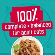 Friskies Gravy Tasty Treasures Prime Filets, Wet Cat Food, 5.5 oz Cans