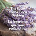 thumbnail image 3 of Bougie en pot parfumée Yankee Candle, collection Studio, 3 of 6
