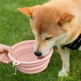 thumbnail image 6 of Nebwoak Collapsible Silicone Pet Bowl - Portable Outdoor Dog Cat Water & Food Bowl with Hook, Food Grade, Lightweight Travel Bowl for Small Medium Pets, 6 of 6
