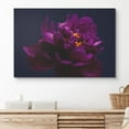 thumbnail image 2 of PixonSign Canvas Print Wall Art Violet Camellia on Black Background Botanical Plants Photography Modern Art Contemporary Portrait Colorful Multicolor Ultra for Living Room, Bedroom, Office - 12x18, 2 of 5