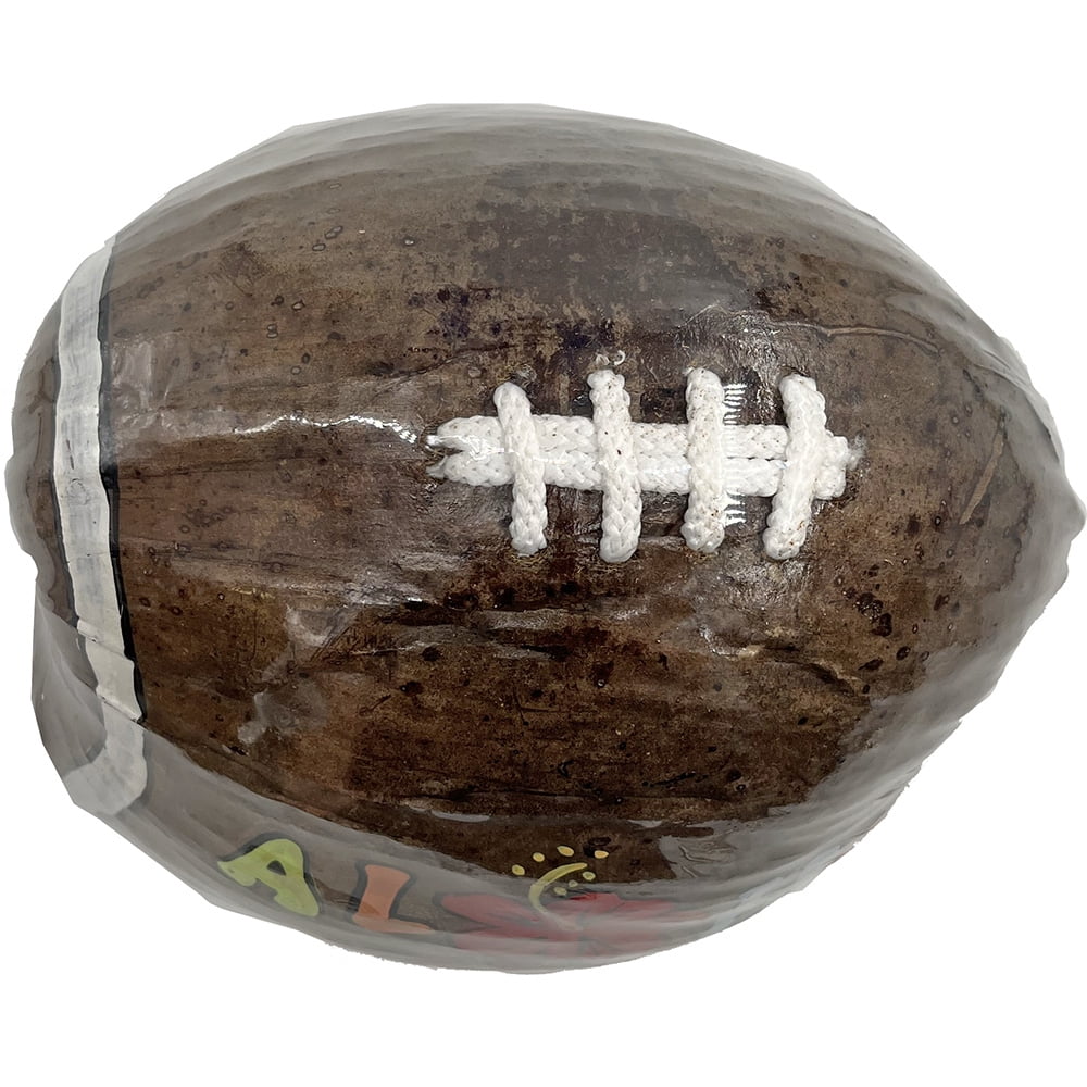 South Seas Native Treasures Real Coconut Football Money Bank