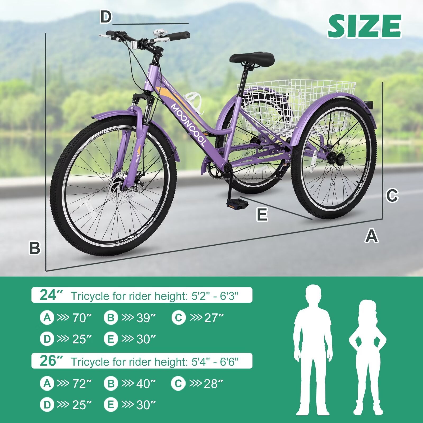 MOPHOTO 24" Mountain Tricycle for Women, 7 Speed Adult Cruiser Trike, Bicycle for Senior, Shopping 3 Wheel Bicycle with Rear Basket