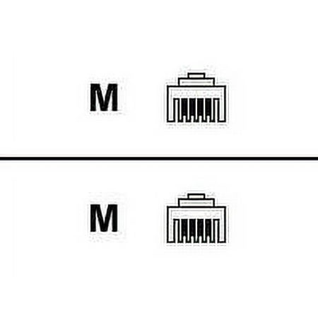 Belkin - Phone cable - RJ-11 (M) to RJ-11 (M) - 100 ft - ivory