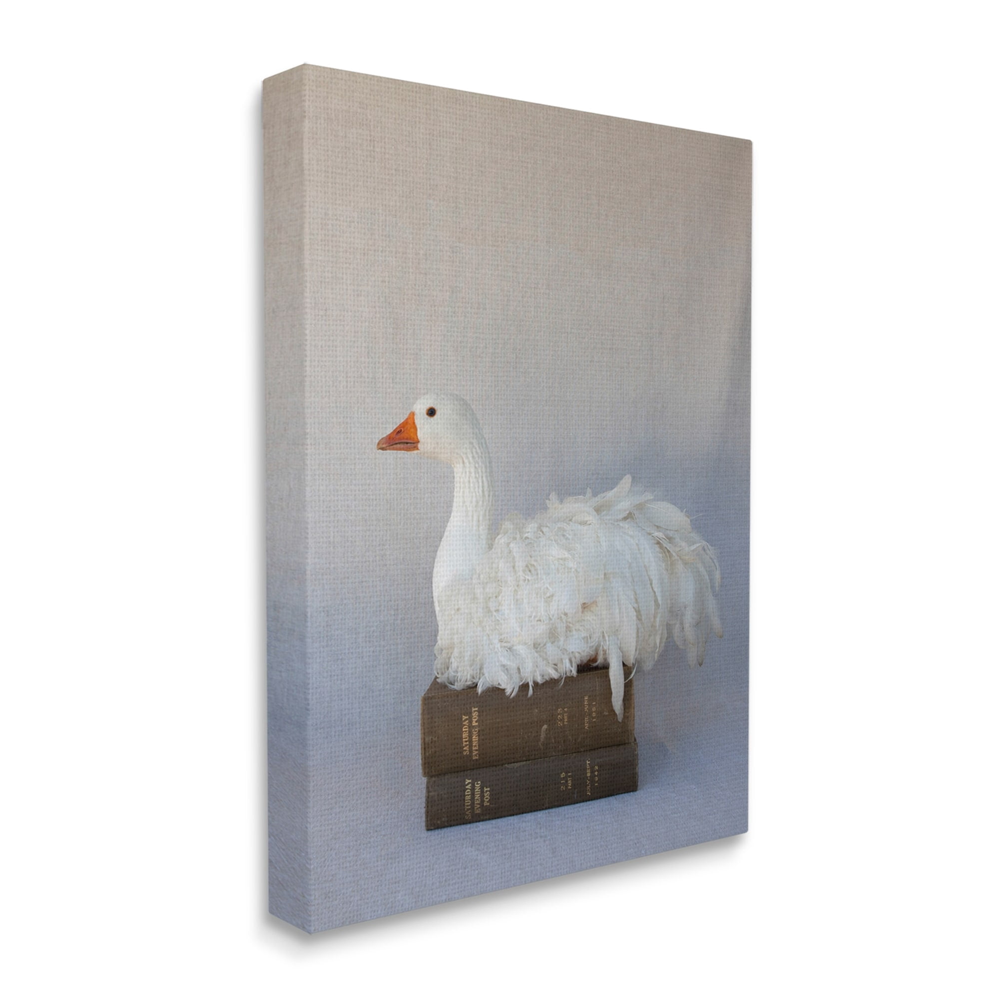 Stupell Industries Fluffy Goose Bookstack Bird Nesting Vintage Literature,24 x 30, Design by Tania Soderman