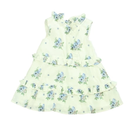 

Pre-owned Janie and Jack Girls White | Blue Floral Dress size: 6-12 Months