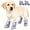 Purple, variant on Waterproof Non-Slip Dog Boots 4-Pack, Twist-Lock Buckle & Cute Ears for Small Breeds, Rain Boots for Pets (Green, Two Yards 2.5~4.5kg)