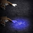 thumbnail image 5 of Blacklight ultravioleta linterna LED portátil Mini antorcha de mano Detector para orina de perro manchas de mascotas identificación antifalsificación, 5 of 5