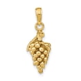thumbnail image 3 of FJC Finejewelers 14k Yellow Gold 3d Grapes with Stem Leaf Charm, 3 of 6